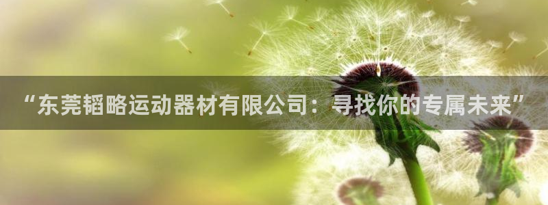 意昂体育4招商电话是多少啊:“东莞韬略运动器材有限公司:寻找