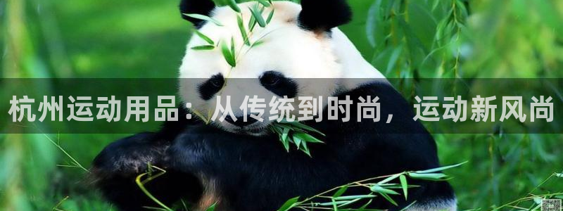 意昂4娱乐首页官网下载:杭州运动用品:从传统到时尚,运动新风