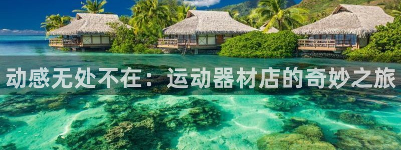 意昂4新能源:动感无处不在:运动器材店的奇妙之旅