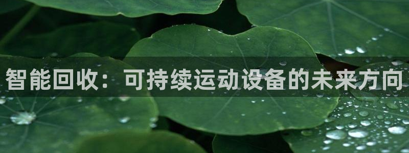 意昂4娱乐平台:智能回收:可持续运动设备的未来方向