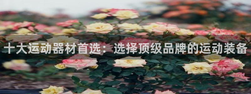 意昂体育4招商电话号码查询是多少:十大运动器材首选:选择顶级