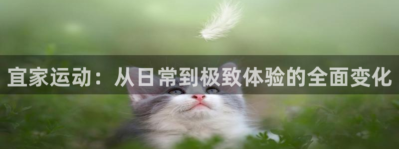 意昂体育4招商电话号码查询:宜家运动:从日常到极致体验的全面