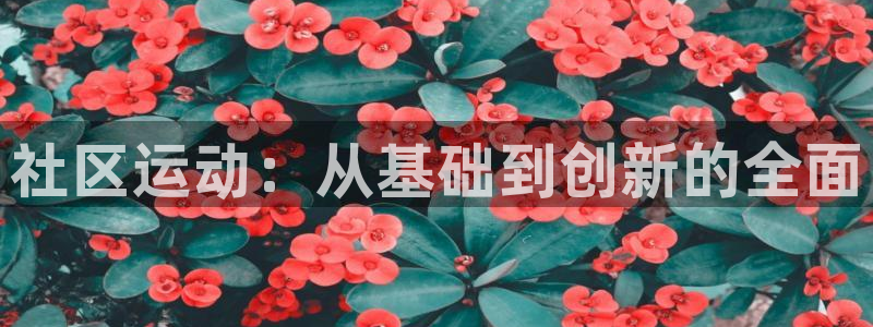 意昂4娱乐40996:社区运动:从基础到创新的全面