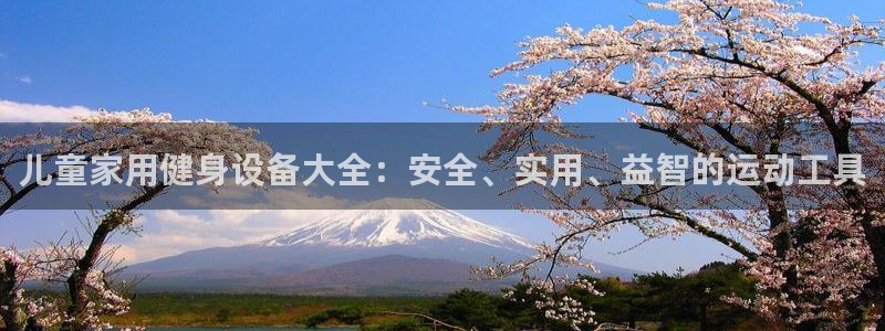 意昂4娱乐:儿童家用健身设备大全:安全、实用、益智的运动工具