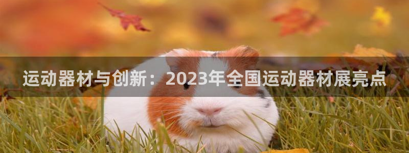 意昂体育4平台注册:运动器材与创新:2023年全国运动器材展
