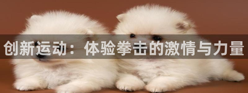 意昂体育4平台注册流程视频:创新运动:体验拳击的激情与力量