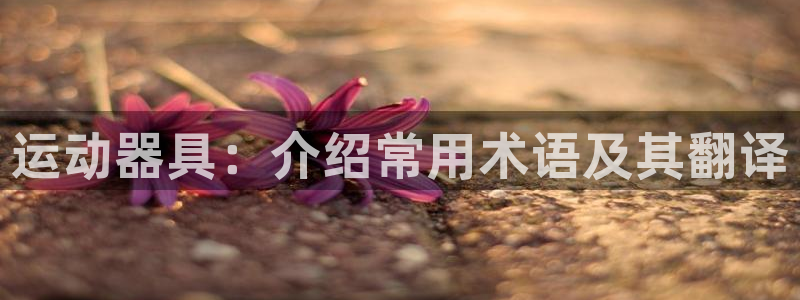 注册意昂4:运动器具:介绍常用术语及其翻译