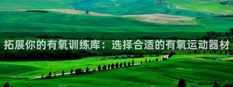 意昂4娱乐40996:拓展你的有氧训练库:选择合适的有氧运动