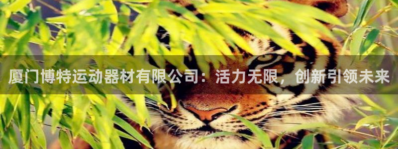 意昂体育4软件:厦门博特运动器材有限公司:活力无限,创新引领