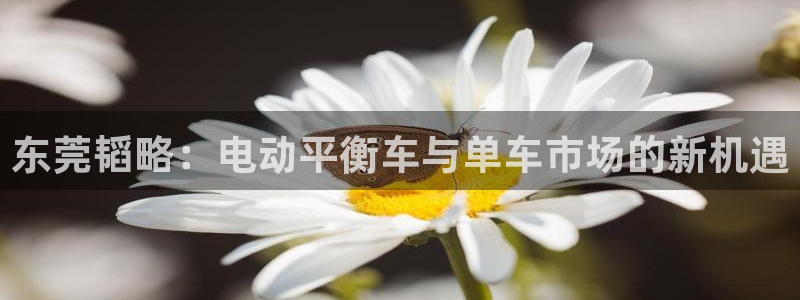意昂4娱乐:东莞韬略:电动平衡车与单车市场的新机遇